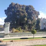 IMG_20230219_091508297