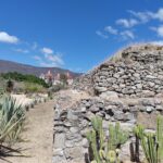 IMG_20230219_131837767